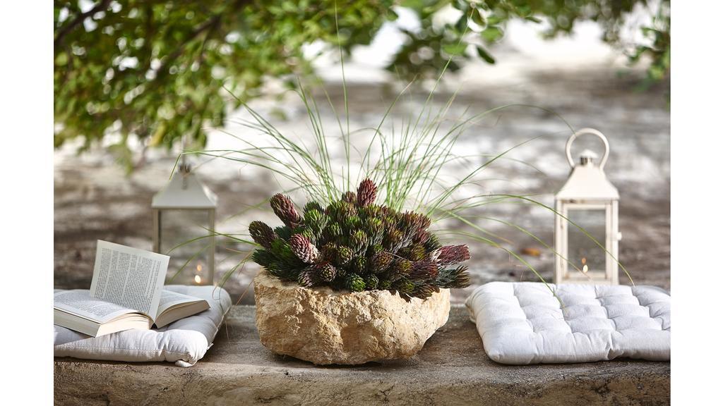 White River Cottages - Rustic Minimalist Holiday Houses Makrýgialos Buitenkant foto